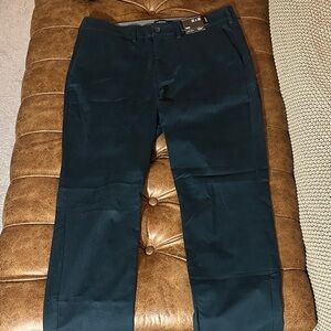 Express Chino Pants